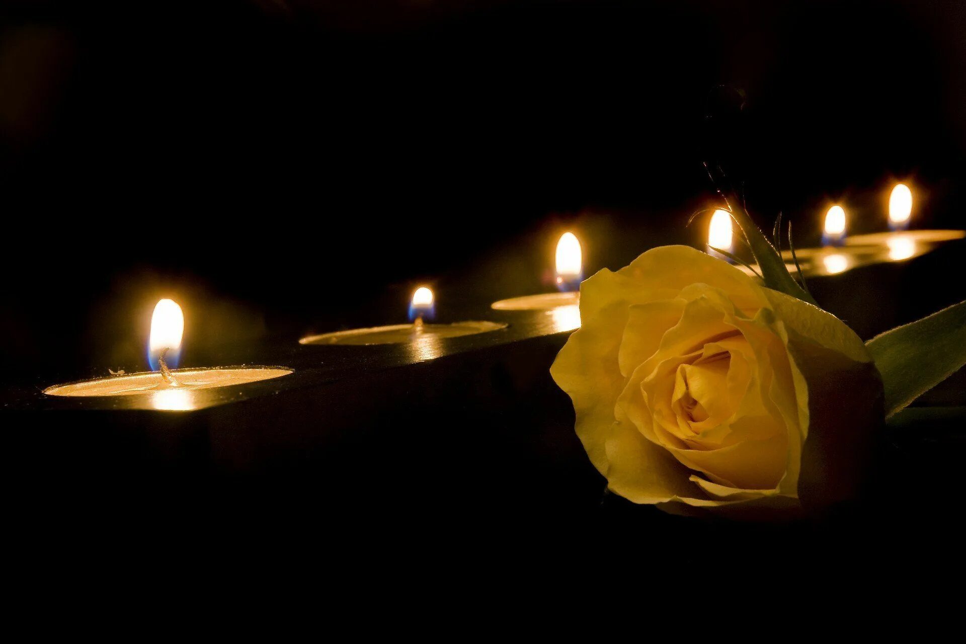 Светлая память 22.03 2024. Розы и свечи. Траурные белые розы и свечи. Белые розы и свеча. Белые розы и свеча памяти.