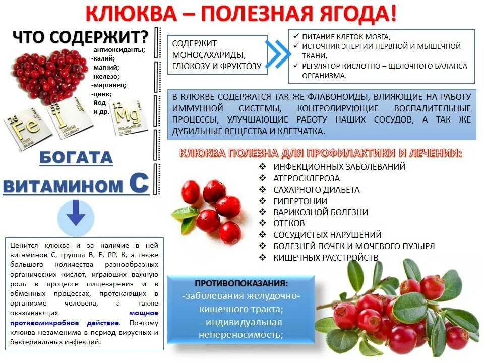 Клюква. Чем полезна клюква. Полезные ягоды для здоровья. Клюква презентация. Клюква полезные свойства.