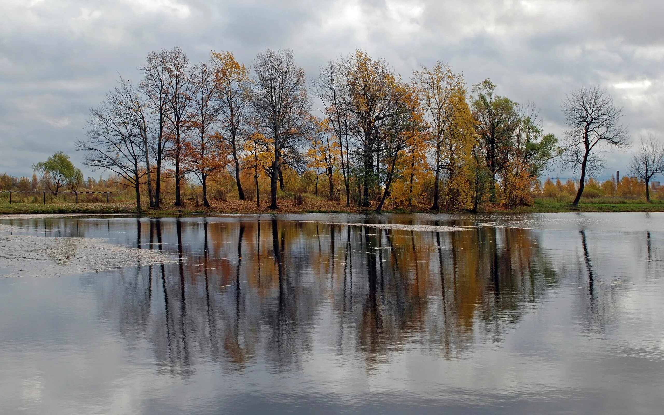 Деревья смотрят в воду. Поздняя осень река. Река поздней осенью. Осенняя река. Деревья отражаются в воде.