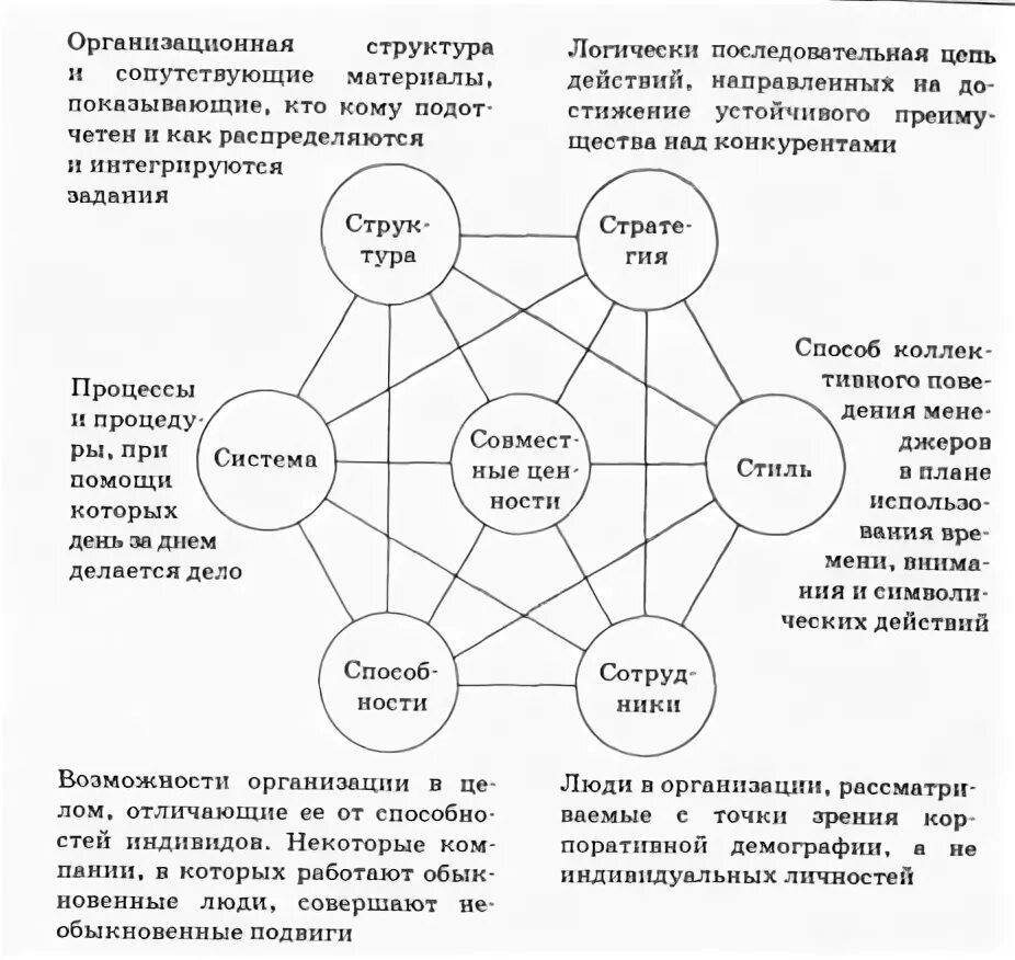 Седьмая система. Седьмая система