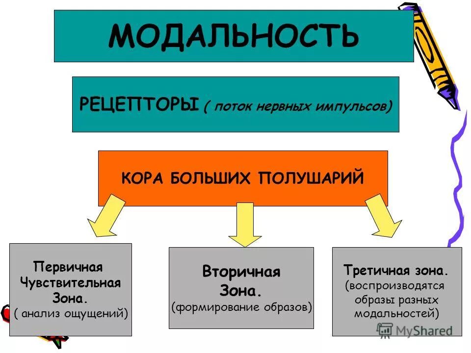 модальность это в языкознании. модальность это в лингвистике. модальность в психологии. модальность примеры. модальность это в психологии.