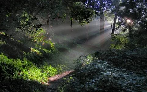 Ray path