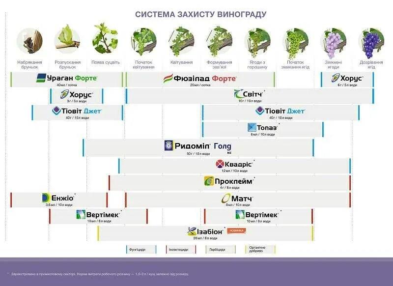 От болезни винограда весной. Схема обработок винограда от. Схема обработки винограда весной. Схема защиты винограда от болезней. Схема обработки винограда Сингента.