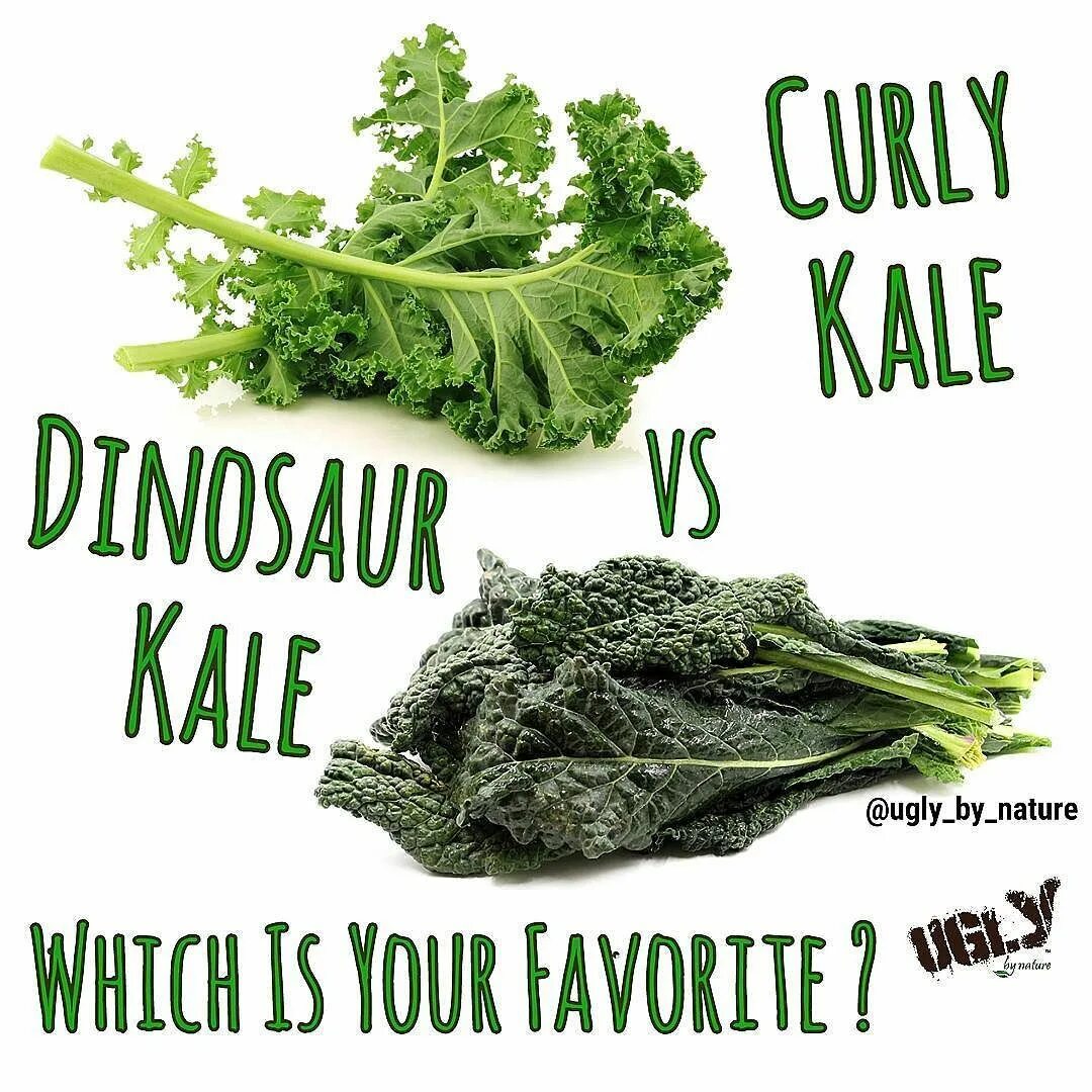 Dinosaur Kale. Kale витамин с. Kale dainaeniyi логотип. Kale перевод