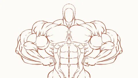 Muscle arts