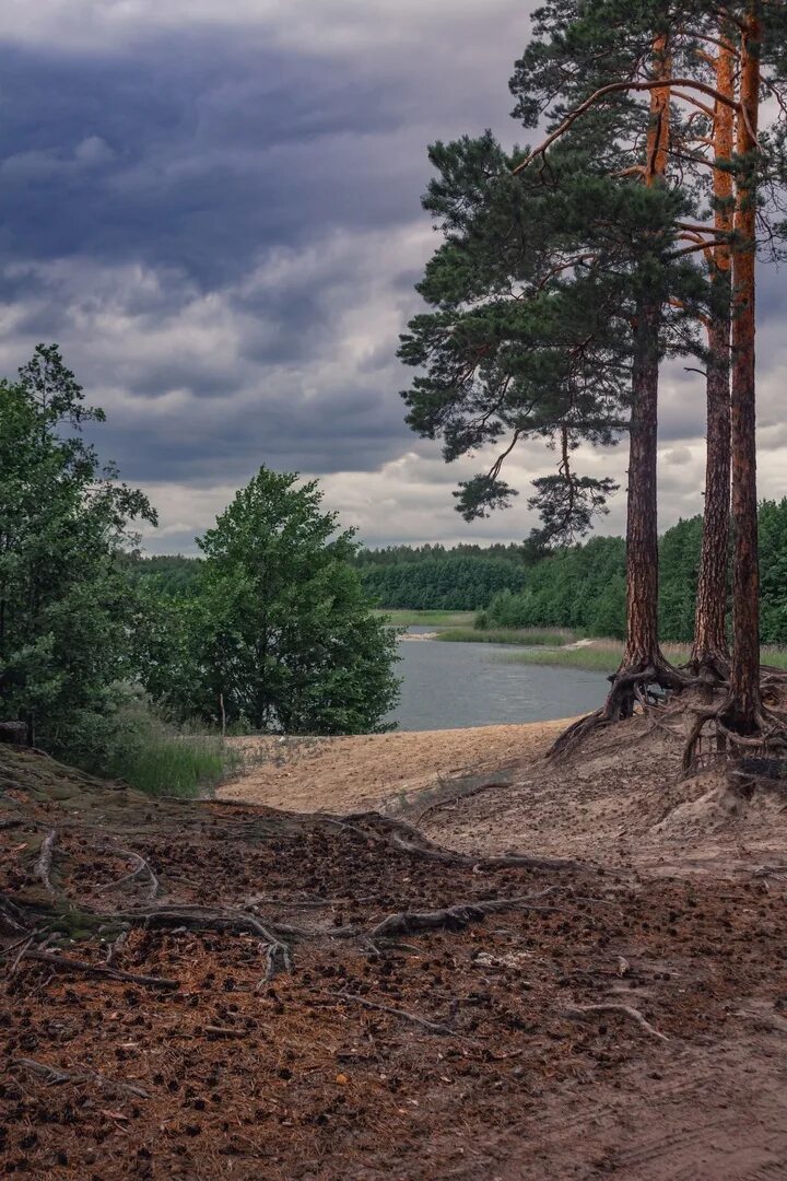 Голубые озера Курган. Голубые озера Курган 2020. Курган Озерное. Голубые озёра Курган платный. Голубых озерах курган