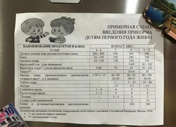 6 месяцев при введении. Схема введения прикорма детям первого года жизни. Схема введения прикорма детям первого года жизни таблица. Примерная схема введения прикорма детям первого года жизни. Схема введения прикорма воз таблица.