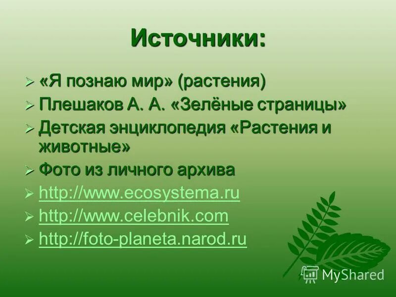 Предложение со словом зеленый. Задания по теме цветы для дошкольников. Составление текста по опорным словам. Семейство сложноцветные ромашка аптечная. Сочинение про ромашку.