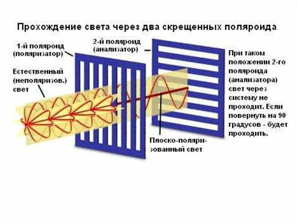 Прохождение естественного света через поляризатор. Поляризатор и анализатор. анализатор поляризации света. прохождение света через поляризатор и анализатор. скрещенные поляризатор и анализатор.