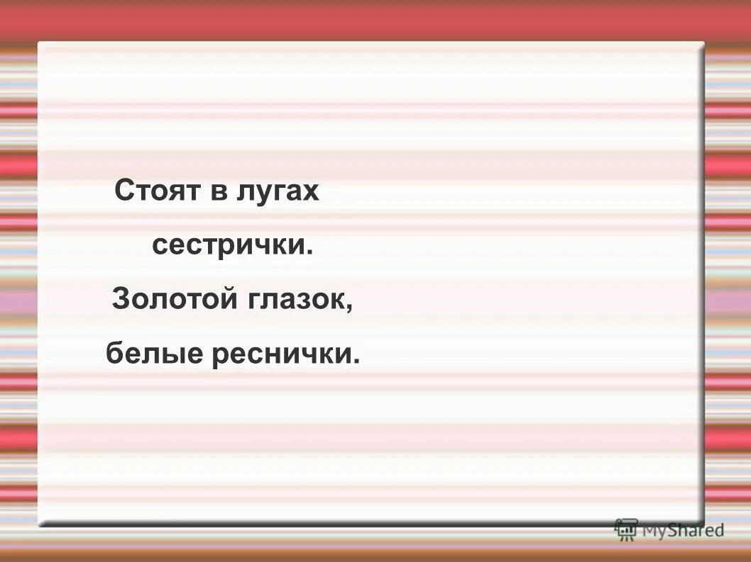 Загадка стоят в лугах сестрички золотой