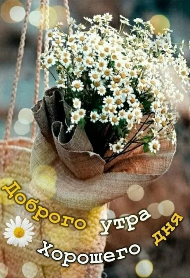 С добрым утром март здоровья добра. Душевные пожелания с добрым утром. открытки с добрым утром с цветами. доброе утро с цветами и пожеланиями. цветы с пожеланиями хорошего дня.