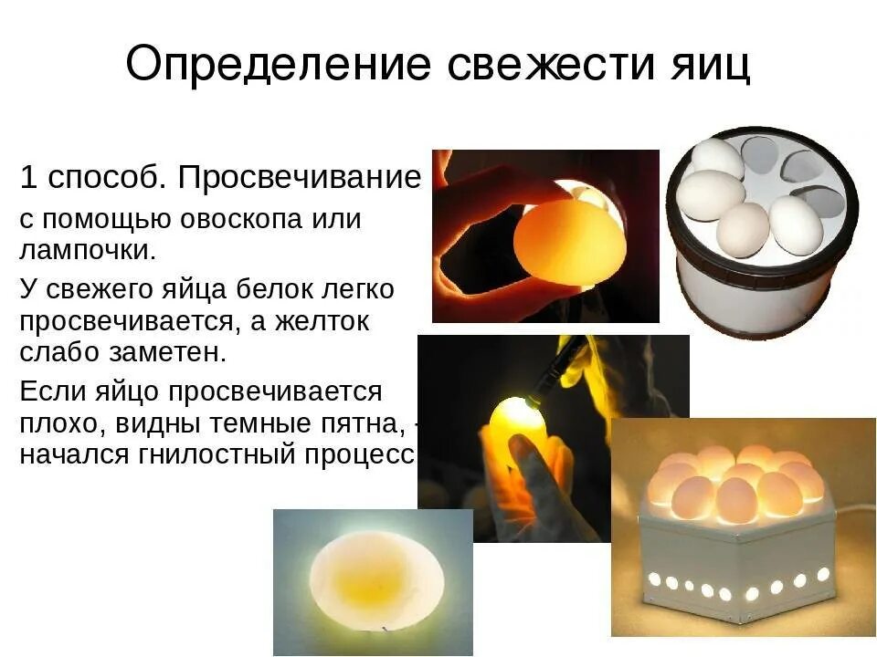 Метод овоскопирования яйца. Определение качества яиц. Определение свежести яиц. Способы определения свежести яиц. Пропадает яичко