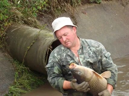 Пихтовка рыбхоз воткинский