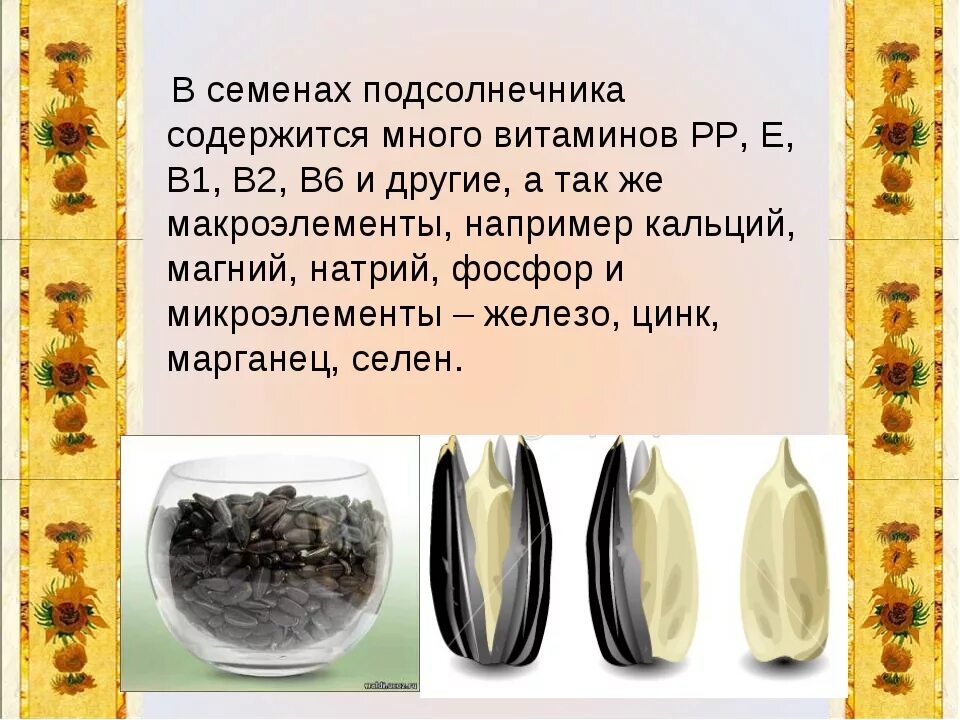 Семечки подсолнечника витамины. Подсолнечник витамины. Витамины в семечках подсолнечника. Витамины содержащиеся в семенах подсолнечника. Польза семечек.