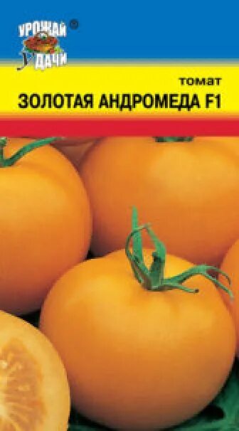 Томат золотая андромеда фото A00167825 купить по выгодным ценам в интернет-магазине OZON