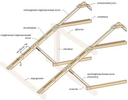 Размер кобылки