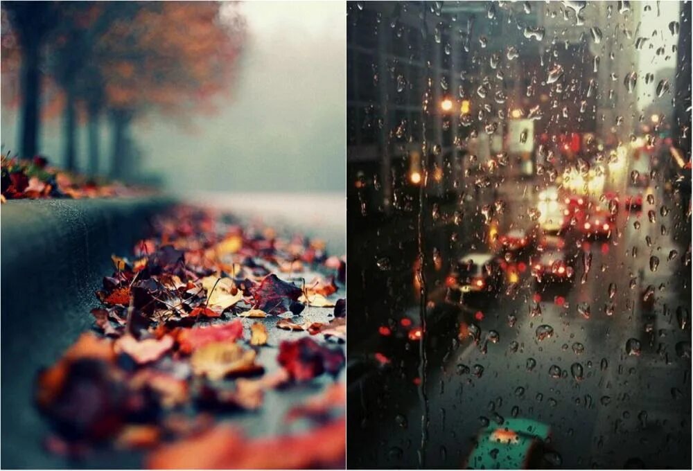 Дождливый дневник. Осень дождь. Дождь за окном. Вдохновение осень дождь. Осень город дождь.