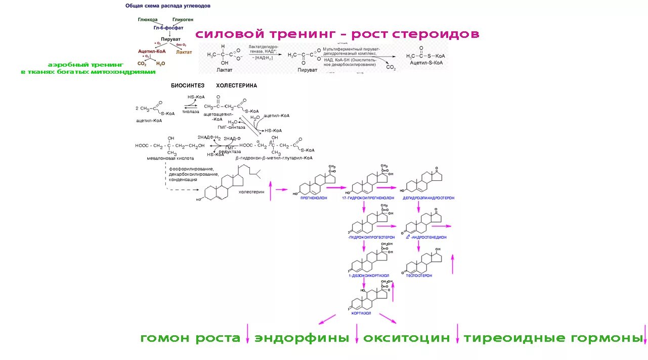 Распад ростов. Распад холестерина. Схема распада холестерина в организме. Пути распада холестерина биохимия. Распад холестерола.