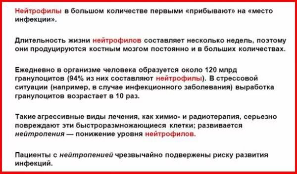 Нейтрофилы понижены у мужчины о чем это. Нейтрофилы понижены у ребенка в крови. Как повысить нейтрофилы в крови. Как увеличить количество нейтрофилов в крови народными средствами. Причины снижения нейтрофилов в крови.