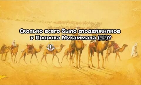 Истории сподвижников пророка мухаммада