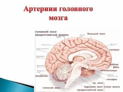 Признаки заместительного расширения ликворных пространств