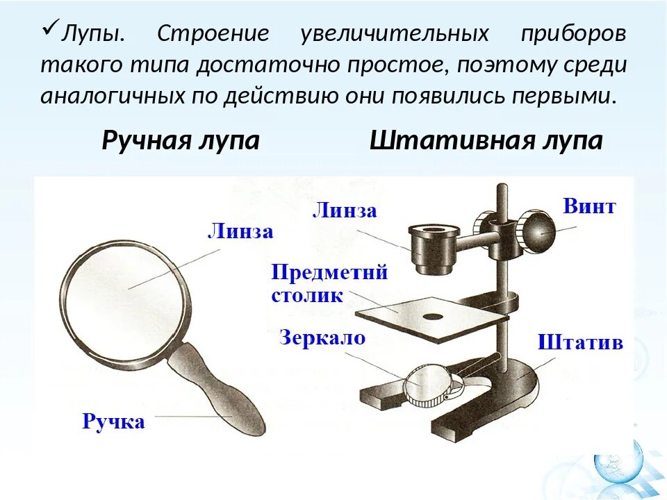 Какой прибор при прохождении через него. Биология 5 класс увеличительные приборы строение микроскопа. штативная лупа 5 класс увеличительные приборы-. штативная лупа 5 класс биология. увеличительные приборы 5 класс биология лупа.