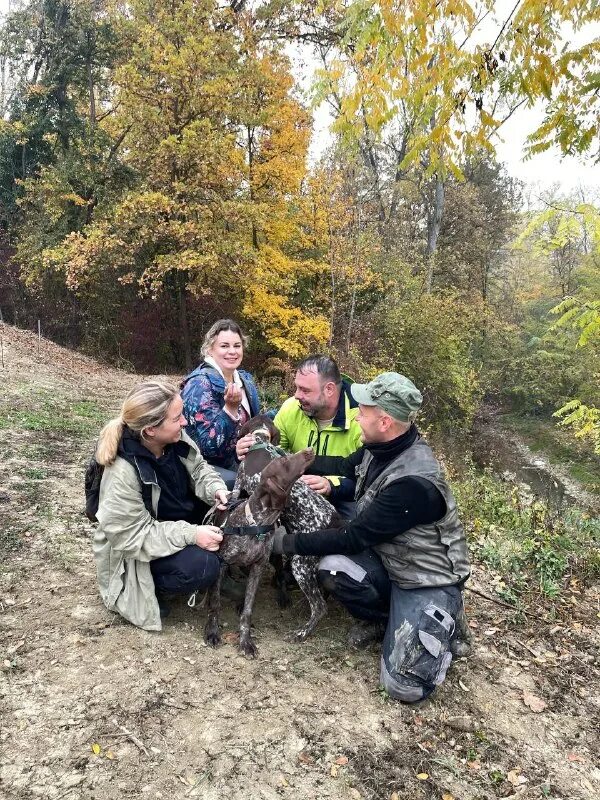 трюфель растет в лесу. охота на трюфель в сан миньято. охотники за трюфелями. собаки охотники за трюфелями. лаготто романьоло ищет трюфели.