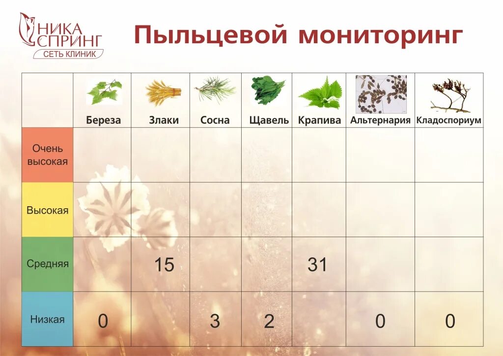 Пыльцевой мониторинг. Пыление сосны. Мониторинг ольхи пыления. Площадь пыления в плане. Мониторинг пыльцы в москве