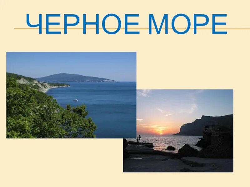 Мыс айя закат. Рассказ о черном море. Черное море. Анапа пляж ривьера сейчас. Животный мир субтропиков черноморского побережья.