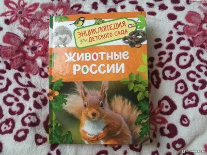 Энциклопедия для детского сада росмэн