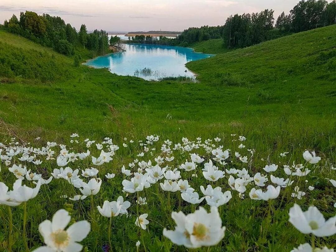 Природные достопримечательности новосибирска. Природа Новосибирской области. Красивые места Новосибирской области. Красивые места НСО летом. Красивые места Новосибирской области природа.