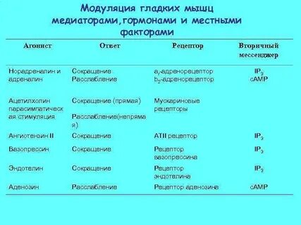 Гормоны и нейромедиаторы