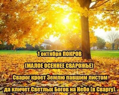 Падут листья