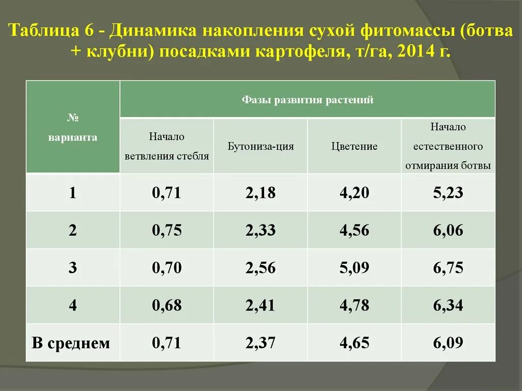 Определить урожайность картофеля. Периоды развития картофеля. Фазы развития картофеля. Фазы развития картофеля таблица. Периоды роста картофеля.