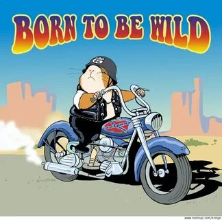 Born to be beautiful