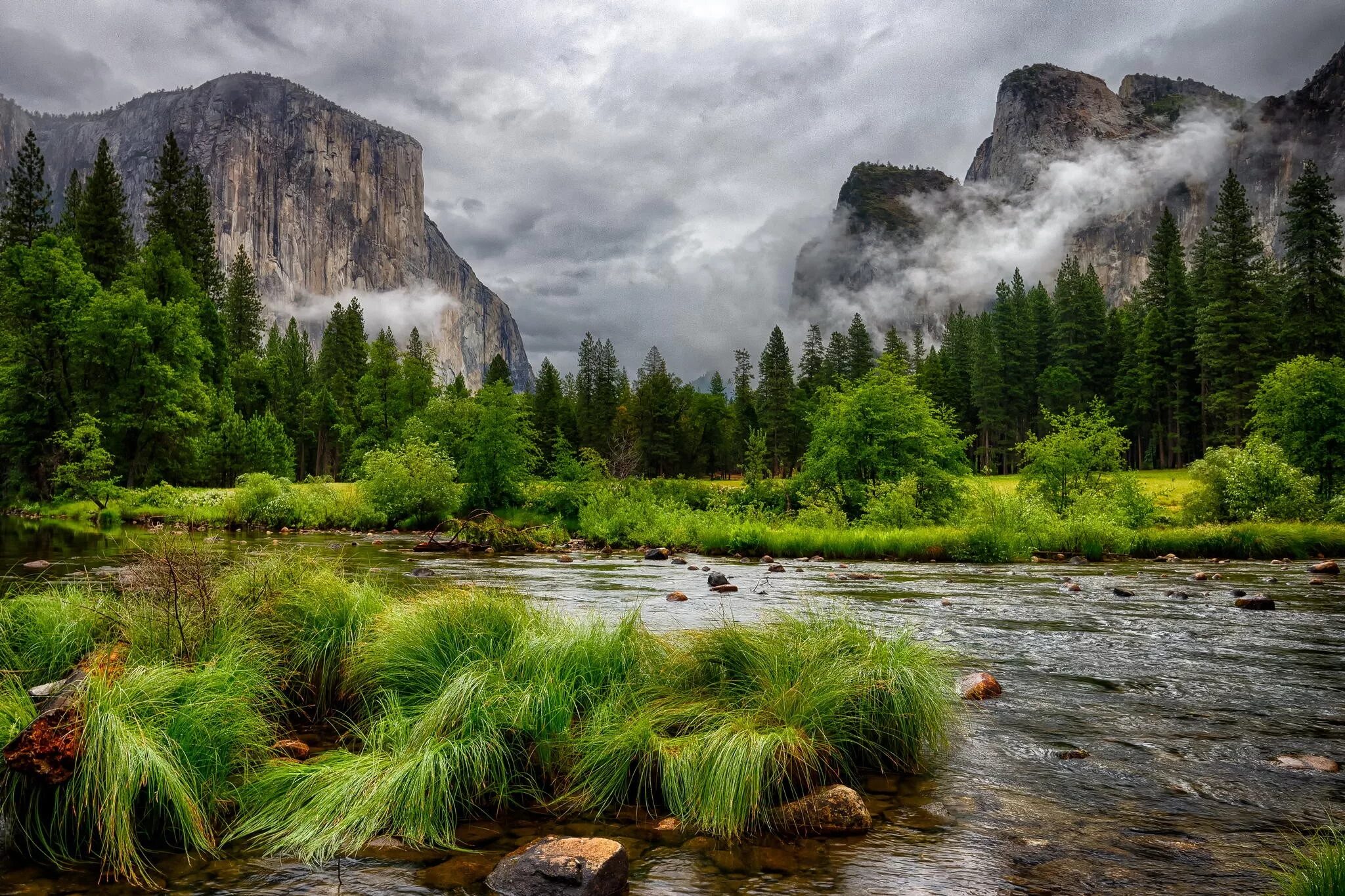 Река Мерсед, Йосемити, США.. Река, горы, лес, River, Mountains, Forest. Лес Йосемити. Красивый пейзаж.