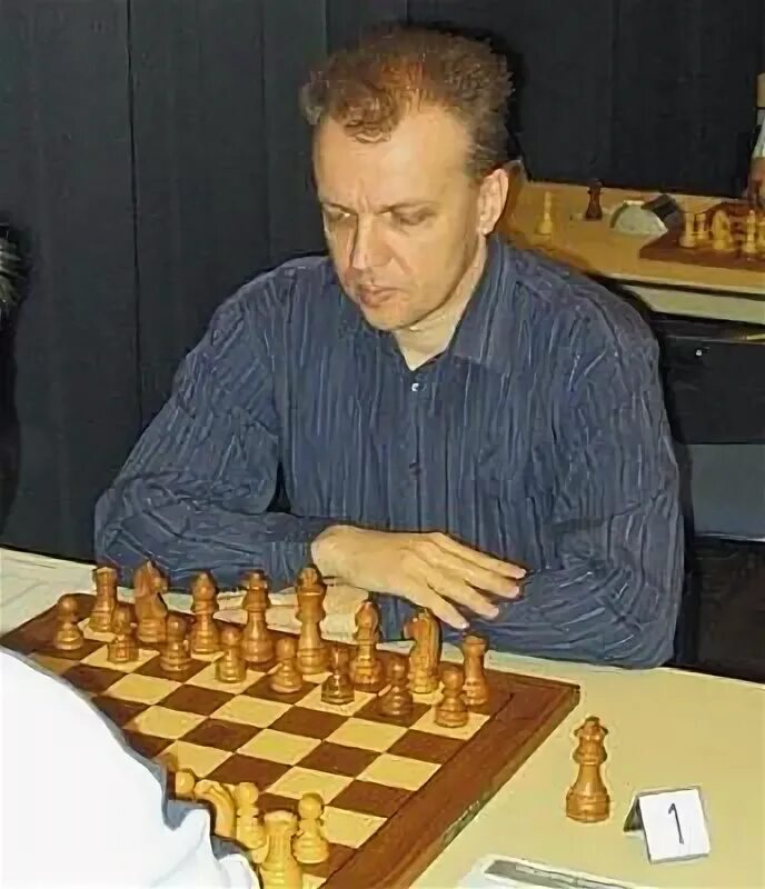 Шахматы шипова. Гроссмейстер сергей юрьевич. сергей юрьевич шахматы. сергей шипов шахматист. шипов сергей юрьевич шахматы.