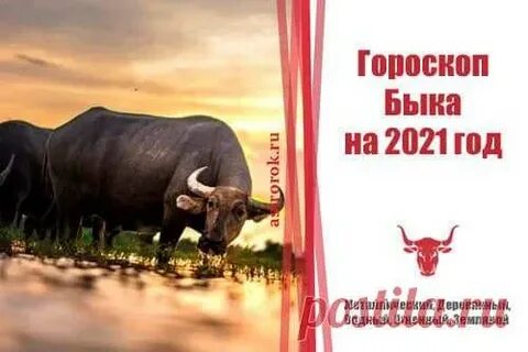 Гороскоп быка на 2025
