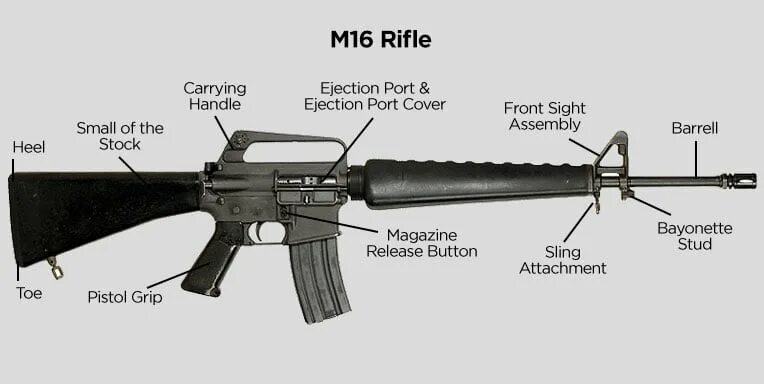 Что дает м 16. M16 устройство. M16 гауно. M16a3 Rear Sight. M16 винтовка основные узлы.