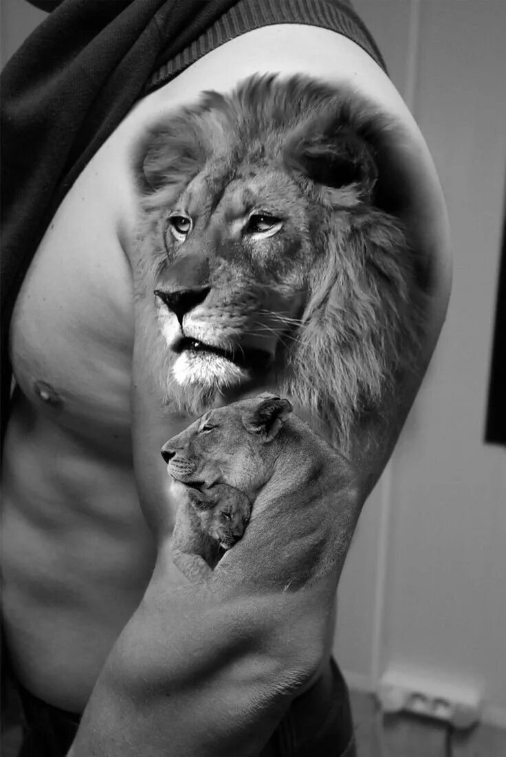 Тату поступи. Тату Лев. Лев львица и Львенок. Тату Льва на плече мужские. Тату мужские Лев.