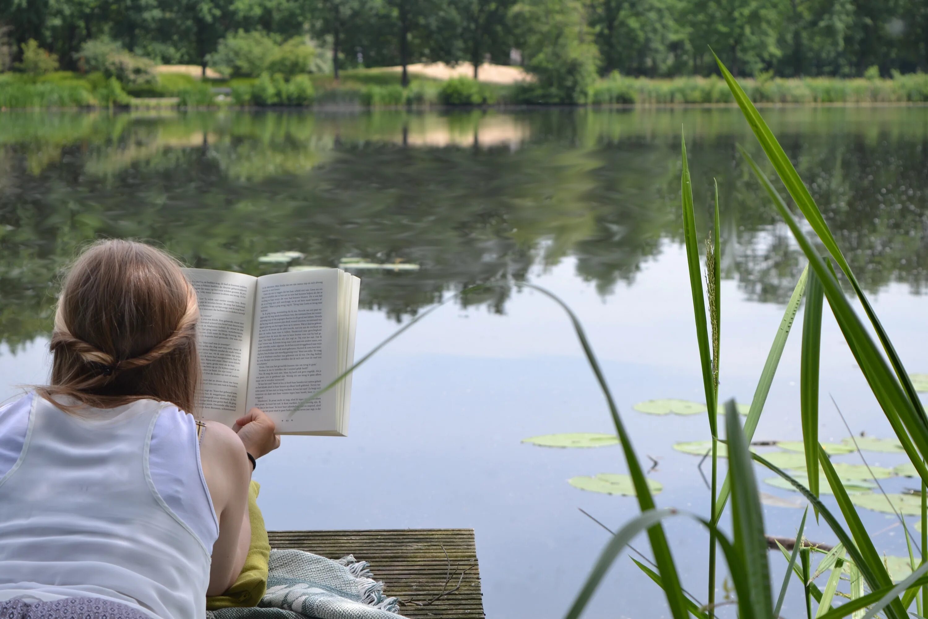 Девушка на берегу озера. Книга природа. Лето с книгой. Книга летом. Девушка с книжкой на природе.