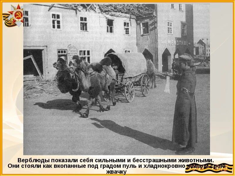 Как вкопанный значение. Как вкопанный значение
