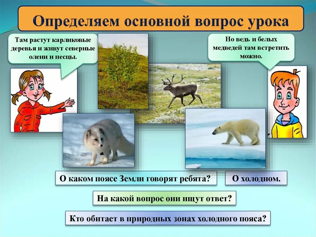 Укажите природную зону в которой можно встретить. Природные зоны и кто там обитает. Природные зоны России и кто там обитает. Кто обитает в природных зонах. Природные зоны холодного пояса.