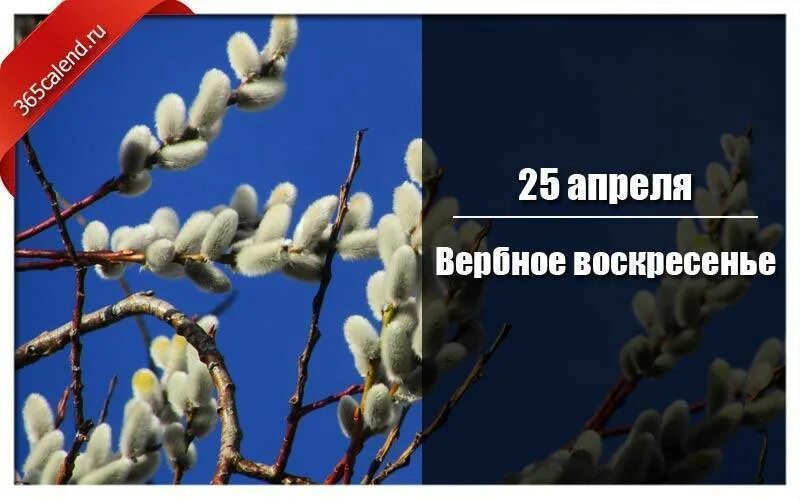 Когда вербное в 2024г. 25 Апреля Вербное воскресенье 2021. Вербное воскресенье на Руси. Вербное воскресенье в 2021 году какого числа. Вербное воскресенье в 2021 Дата.