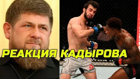 Реакция кадырова
