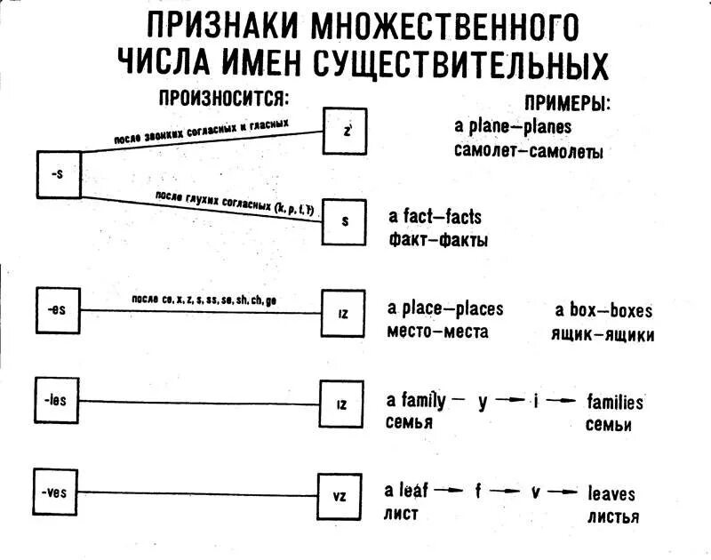 Формы существительных в английском языке. Образование мн числа существительных в английском. Множественное число имени существительного в английском языке. Имя существительное образование множественного числа в английском. Существительные во множественном числе в английском языке.