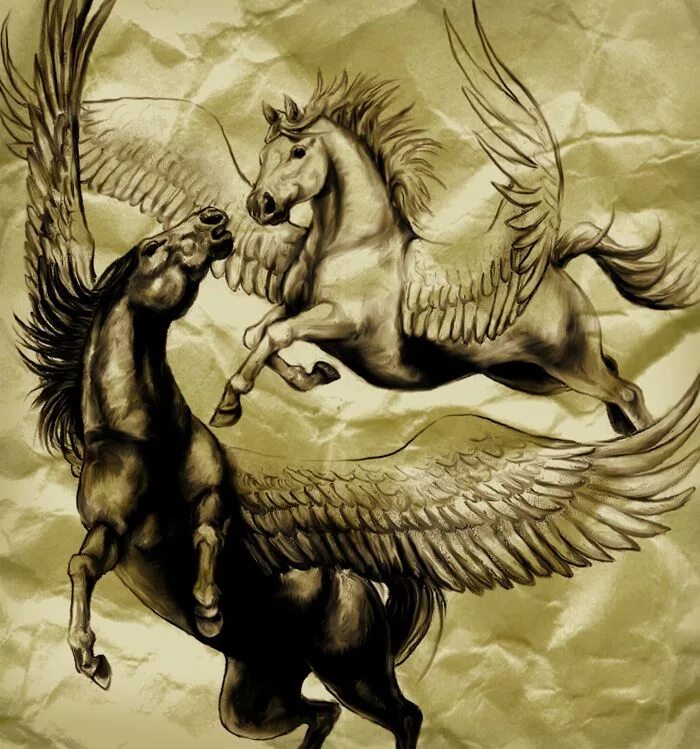 Winged horse. Пегас древнегреческая мифология. Лошади фэнтези. Пегас лошадь. Пегас картинки.