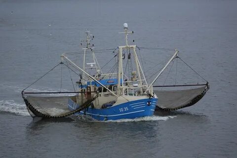 Морские траулеры