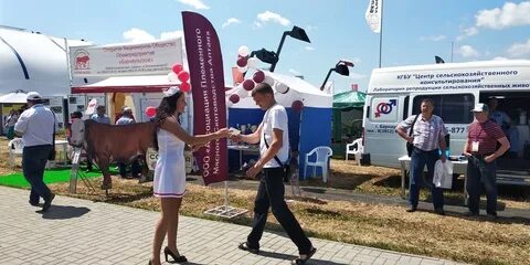 Автобус барыбино заря