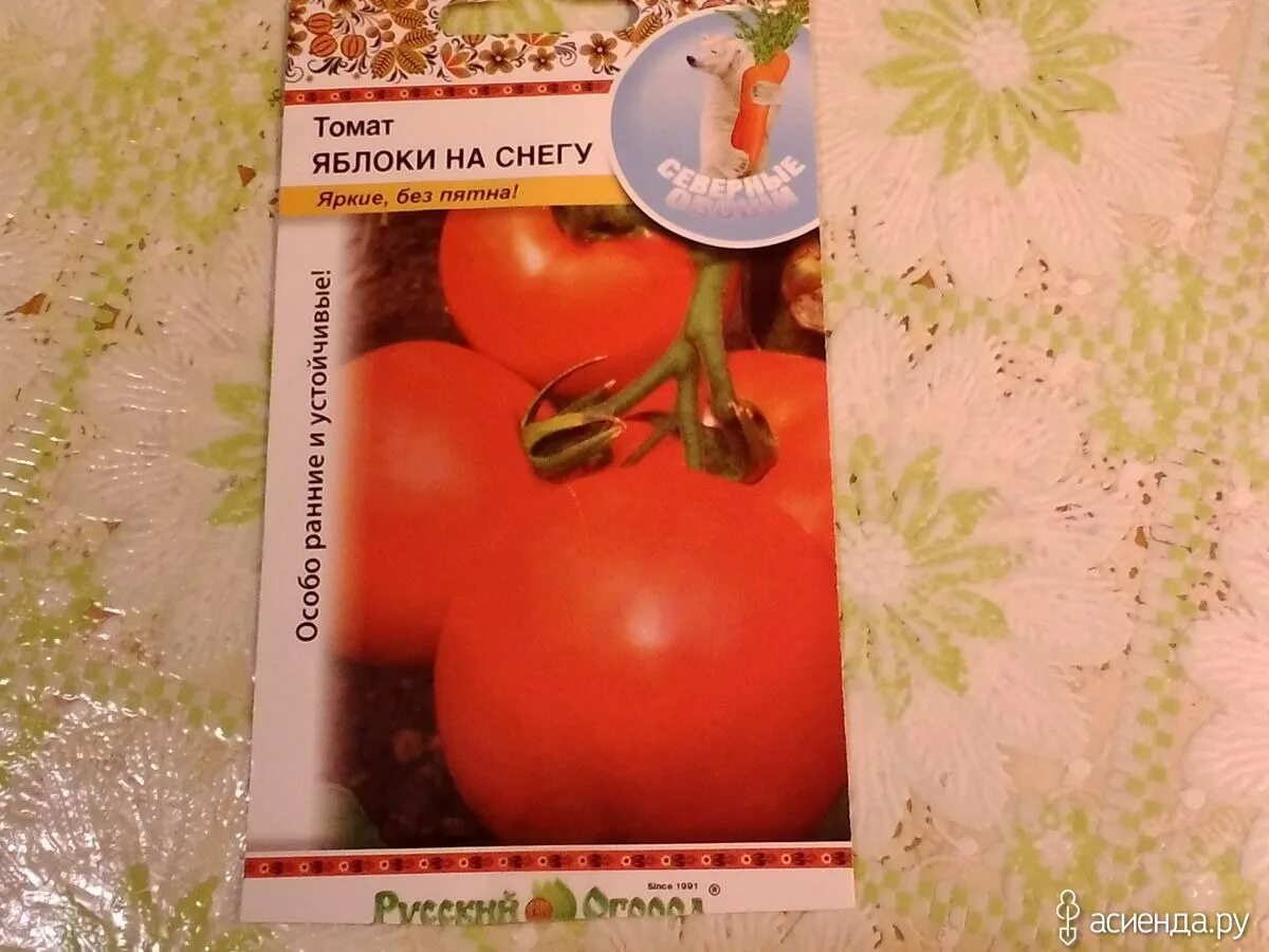 Томат яблоки на снегу. Семена томат яблоки на снегу. Помидоры сорт яблоки на снегу. Сорт яблоки на снегу томаты.